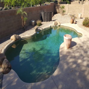 backyard swimming pool