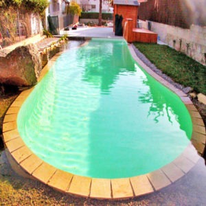 natural swimming pool